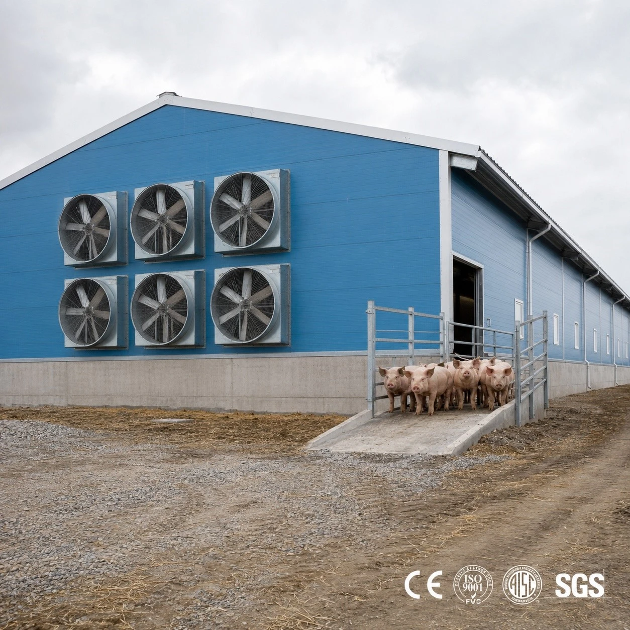 Steel Prefabricated Pig House Steel Prefabricated Pig House
